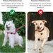 AirTag Silicone collar cover for Pets - Macfixit Australia