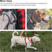 AirTag Silicone collar cover for Pets - Macfixit Australia