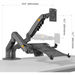 NB North Bayou F160 - FP Dual Monitor & Laptop Desk Mount – For 10"–17" Laptops or 17"–30" Monitors (Up to 9kg) – Black - Macfixit Australia
